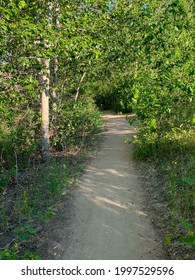 Mountain Biking Trail In The Boise, Idaho Foothills