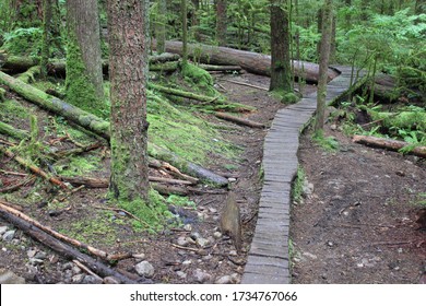 mountain biking trails in North Vancouver, BC Canada - Powered by Shutterstock