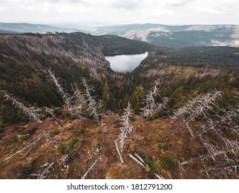 Mountain Black Lake In Wild Nature In Sumava