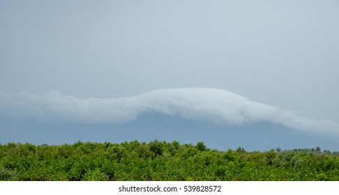 Mountain blanketed cloud