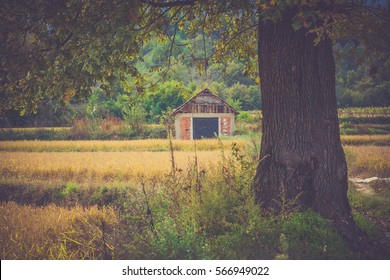 Mountain Cabin