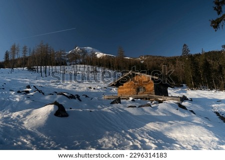 Holiday homes in the mountains