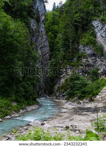 Mountain cliffs overgrown with pine trees rise and create gorges for a shallow stream of Emerald color. The shore of a mountain river covered with pebbles and rocks