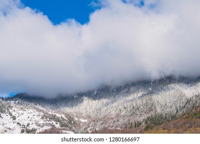 mountain with cloud