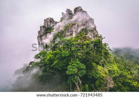 Mountain in the cloud and fog 