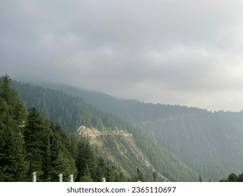Mountain in clouds with greenre