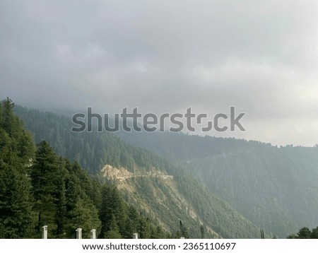 Mountain in clouds with greenre