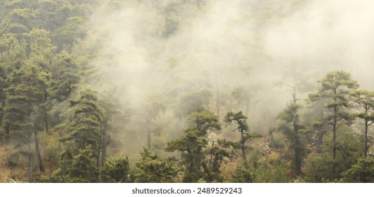 Mountain clouds,
Mountains,
Clouds,
Mountain landscape,
Scenic view,
Nature,
Wilderness,
Natural beauty,
Outdoor adventure,
Hiking scenery,
Mountain peaks,
Cloudy sky,
Misty mountains - Powered by Shutterstock