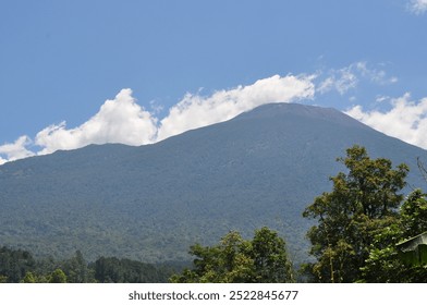A mountain with a cloudy sky in the background. The mountain is covered in trees and he is quite tall