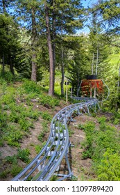 Mountain Coaster At Bogus Basin