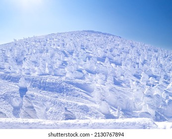 Mountain covered with ice monsters (soft rime). (Zao-onsen ski resort, Yamagata, Japan)