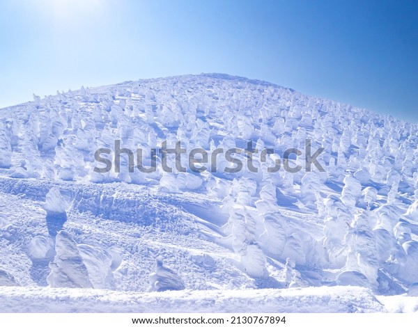 Mountain covered with ice monsters (soft\
rime). (Zao-onsen ski resort, Yamagata,\
Japan)