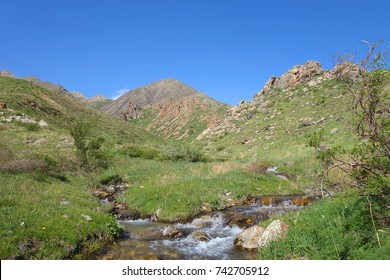 Mountain Creek in the Kelinshektau Mountains, Karatau Ridge, Western Tien-Shan. Karatau Nature Reserve. South Kazakhstan region. Kazakhstan. May 2017