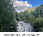 Mountain Creek near Telluride, Colorado