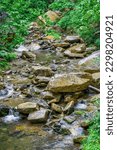 Mountain creek running spring water. North Carolina summer. Family trip