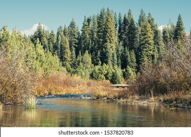 Mountain Creek In Tehama County, CA.