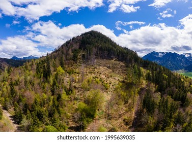 Mountain with damaged forrest. High quality photo