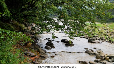 Mountain Dirty River After Rain