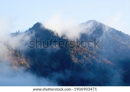 Similar – Image, Stock Photo Fog Landscape.Early Morning Mist in the meadow with trees