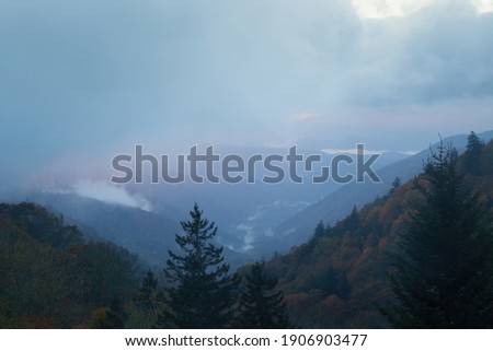 Similar – Image, Stock Photo Fog Landscape.Early Morning Mist in the meadow with trees