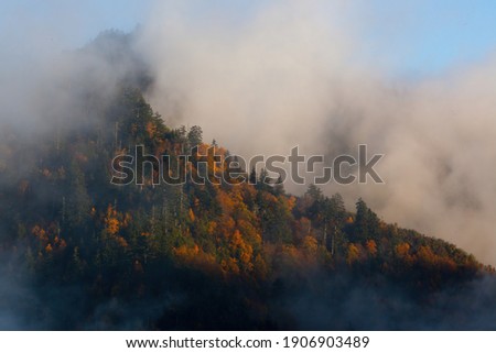 Similar – Image, Stock Photo Fog Landscape.Early Morning Mist in the meadow with trees