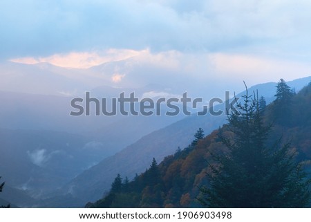 Similar – Image, Stock Photo Fog Landscape.Early Morning Mist in the meadow with trees