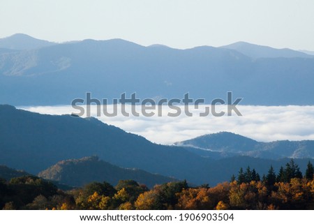 Similar – Image, Stock Photo Fog Landscape.Early Morning Mist in the meadow with trees