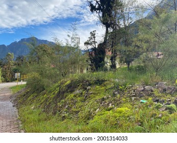 A Mountain Of Earth With Its Outgrown Herbs And Trees