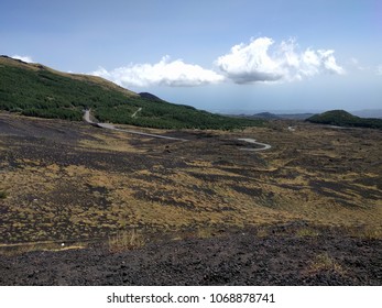 Mountain Fields View