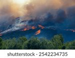 Mountain Fire, Fillmore to Santa Paul California, Ventura County. 2024 Nov. 7. Over 14,000 acres burned with no containment driven by Santa Ana winds. Smoke plume, flames on mountain side. 