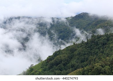Mountain and fog - Shutterstock ID 440274793