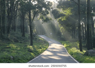 Mountain fog, misty mountains, foggy landscape, mountain mist, misty scenery, fog in mountains, atmospheric landscape, ethereal nature, misty hills, serene fog, foggy peaks, mountain tranquility, mist - Powered by Shutterstock