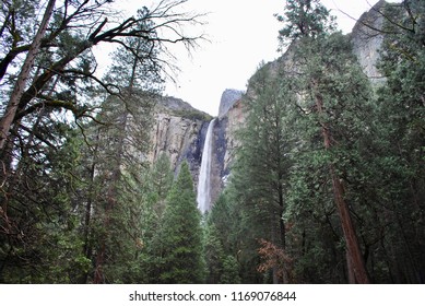 Mountain in forest