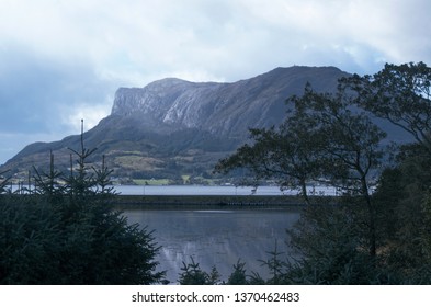 Mountain with forest