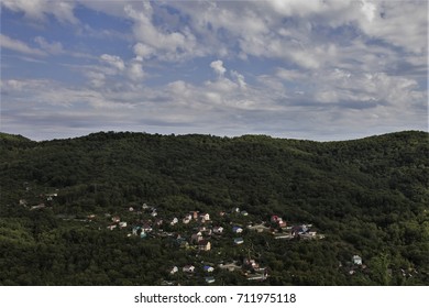 mountain forest