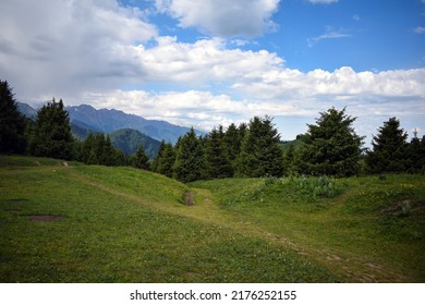 Mountain forest with fir trees beneath fluffy clouds on a summer day hike. Non-typical view of the Kok-Zhailau Plateau, Kazakhstan, Ile-Alatau National Natural Park. Sunny day outdoors with cloudy sky