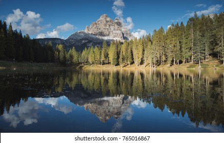 Mountain Forest Lake Reflection Landscape