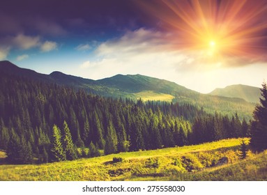 Mountain forest landscape under evening sky with clouds in sunlight. Filtered image: Soft and vintage effect.  - Shutterstock ID 275558030
