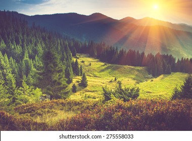 Mountain Forest Landscape Under Evening Sky With Clouds In Sunlight. Filtered Image: Soft And Vintage Effect. 