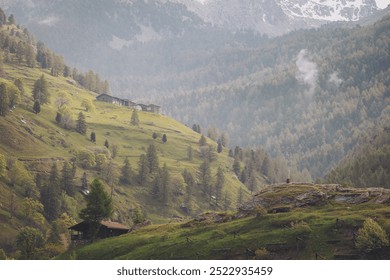 mountain forest landscape. Mountain valley with rocky terrain and forest in the foreground against a cloudy sky. Pontechianale, Italy. - Powered by Shutterstock