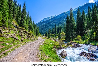 Mountain Forest Path Landscape View