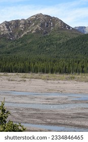 Mountain, forest and river bed