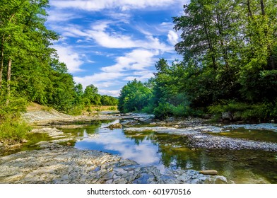 Mountain Forest River Landscape View