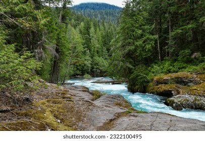 . Mountain forest river. View of a fast mountain river in the forest. Mountain river in forest. Forest river in mountains