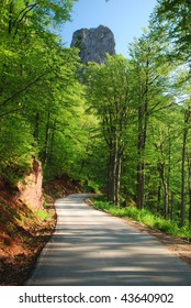 mountain forest road
