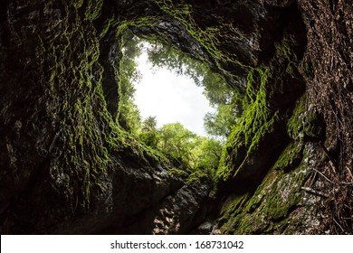 Mountain Forrest - View From The Cave