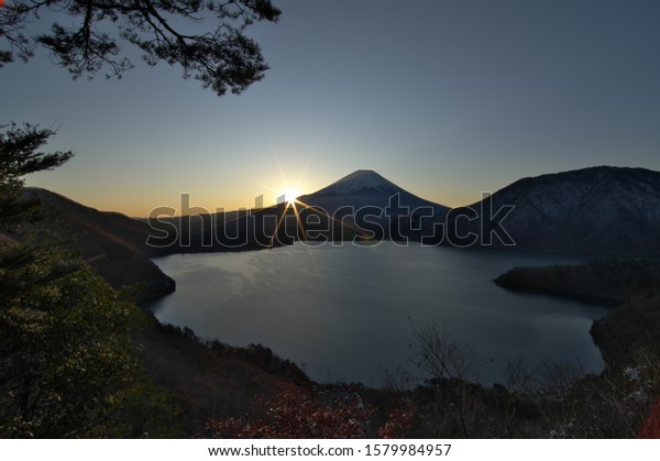 画像ページを表示します 画像