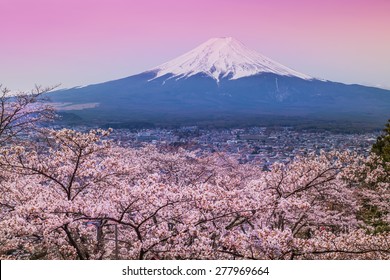 Mountain Fuji In Spring ,Cherry Blossom Sakura