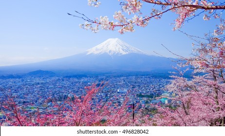 Mountain Fuji In Spring ,Cherry Blossom Sakura,vintage