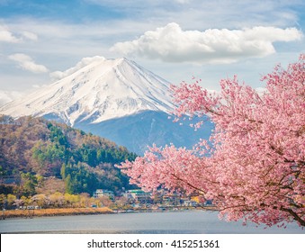 Mountain Fuji In Spring At Kawaguchiko, Japan. Cherry Blossom Sakura. 